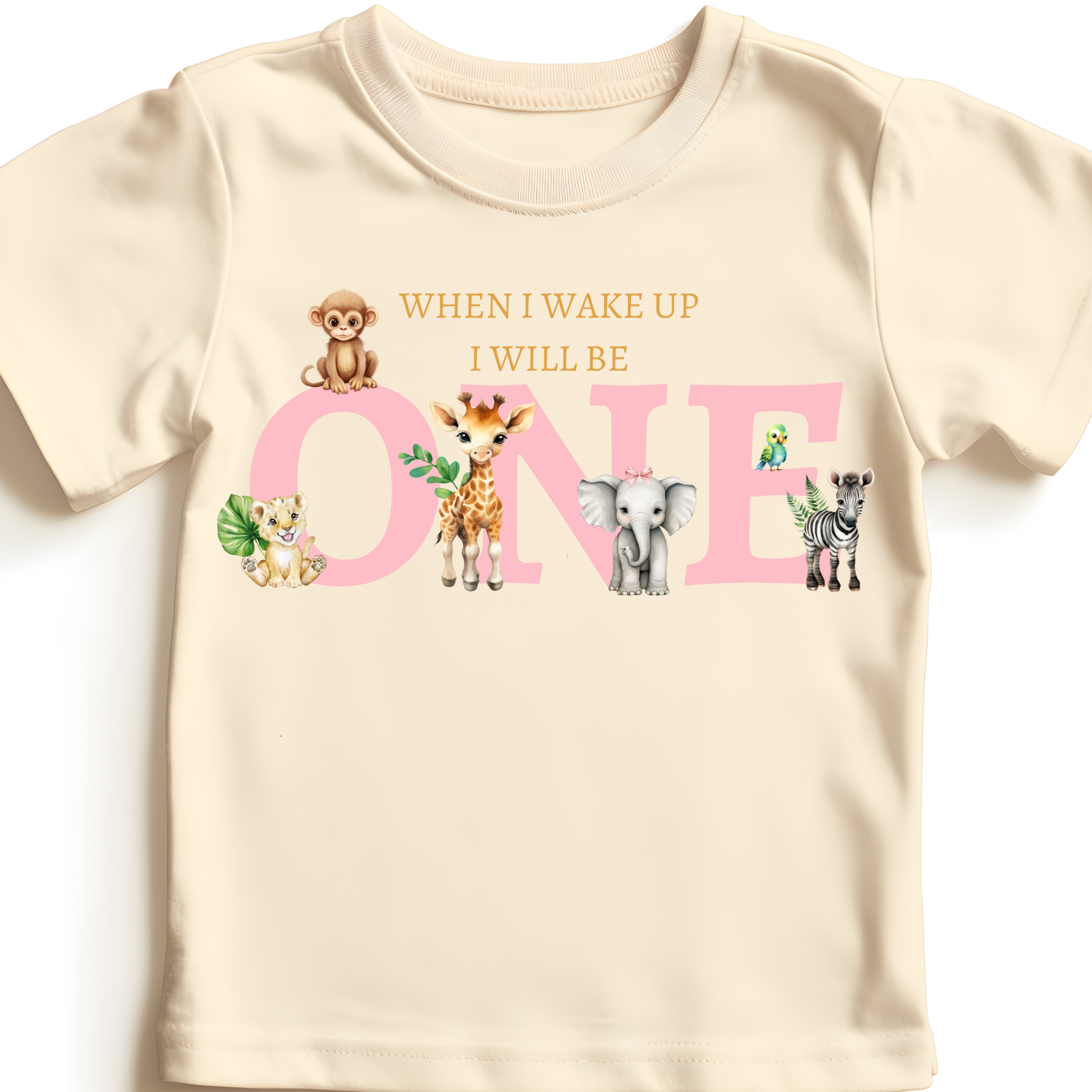 Pink Safari Birthday DTF
