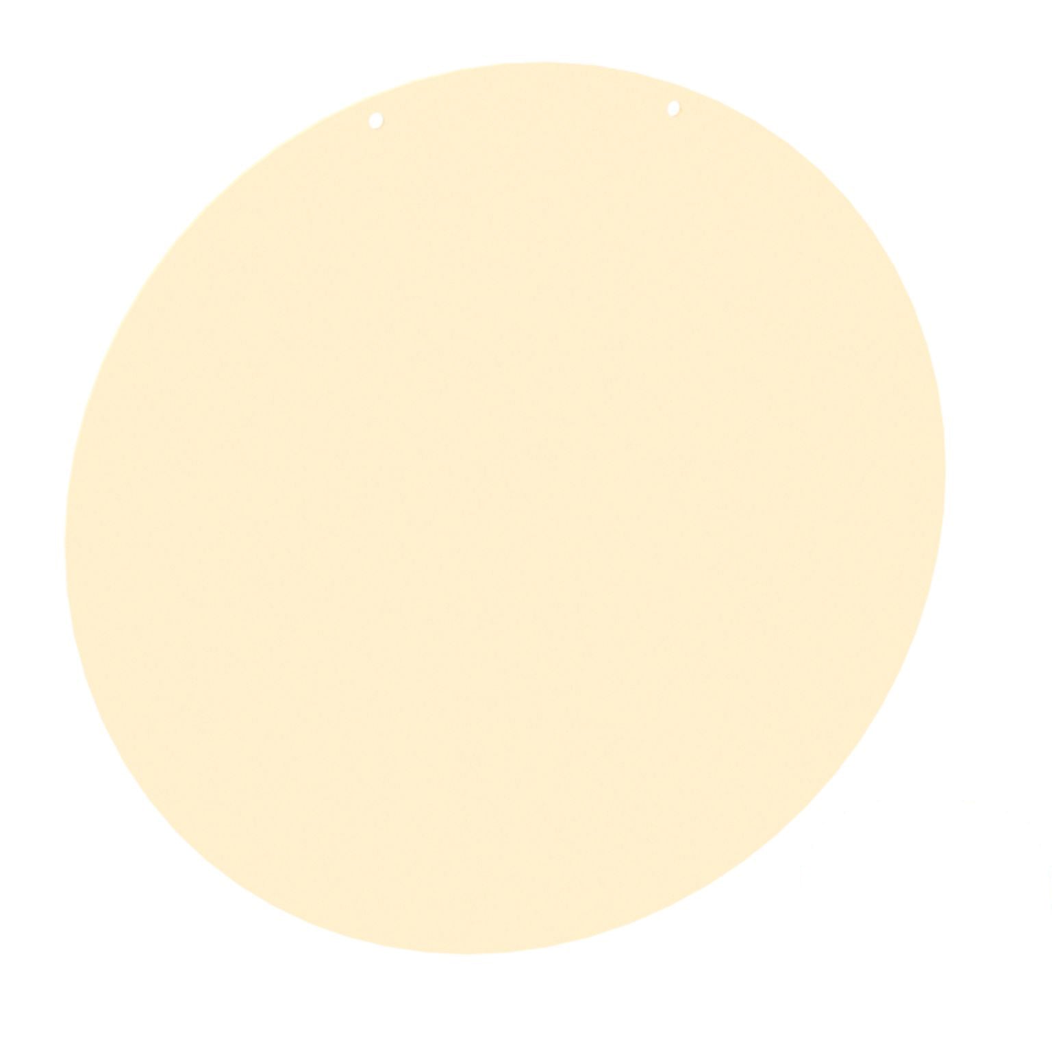 Blank Disc - 300mm