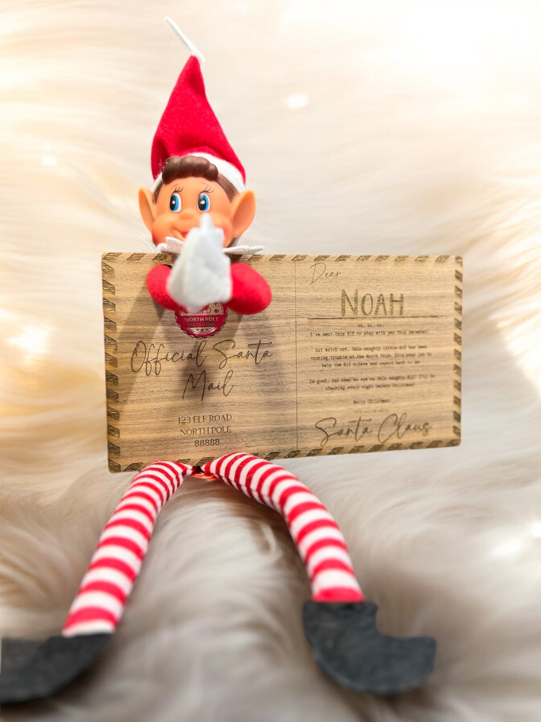 Elf Delivery Postcard - Rectangle Veneer