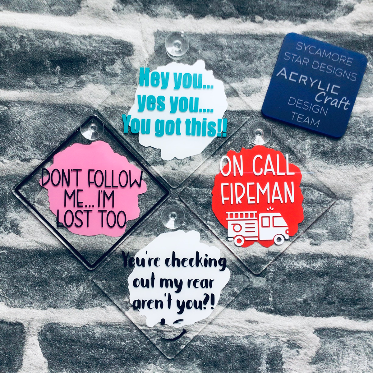 Car Sign - 140mm - Including suction cup