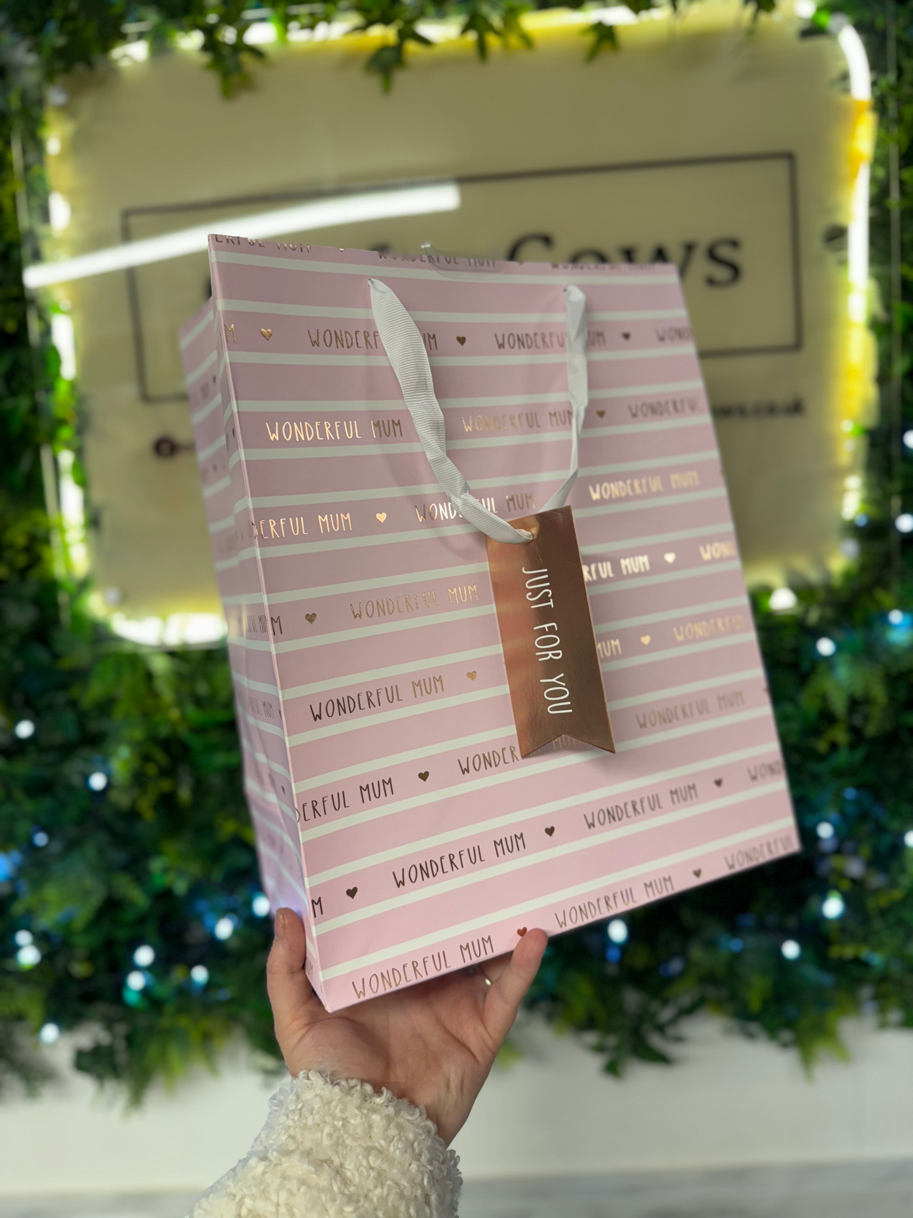 Mothers Day Gift Bag - Pink Stripe