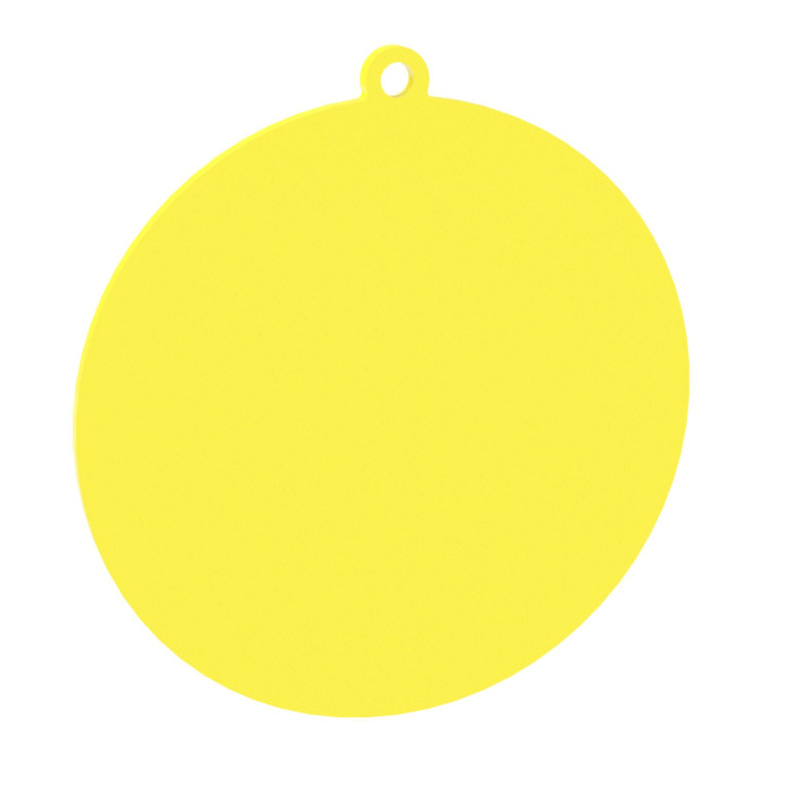Blank Disc  Circle  Round - 100mm