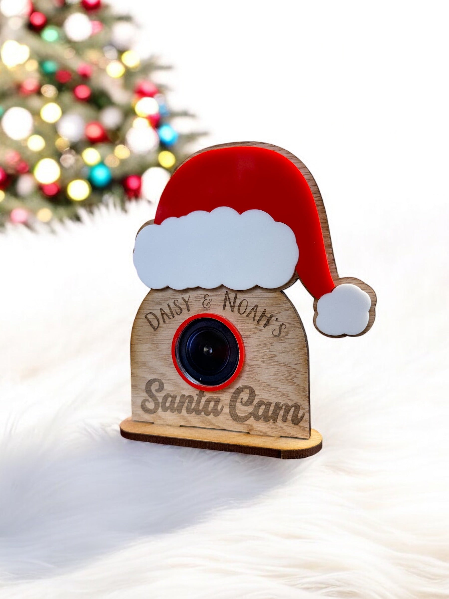 Freestanding Santa Cam