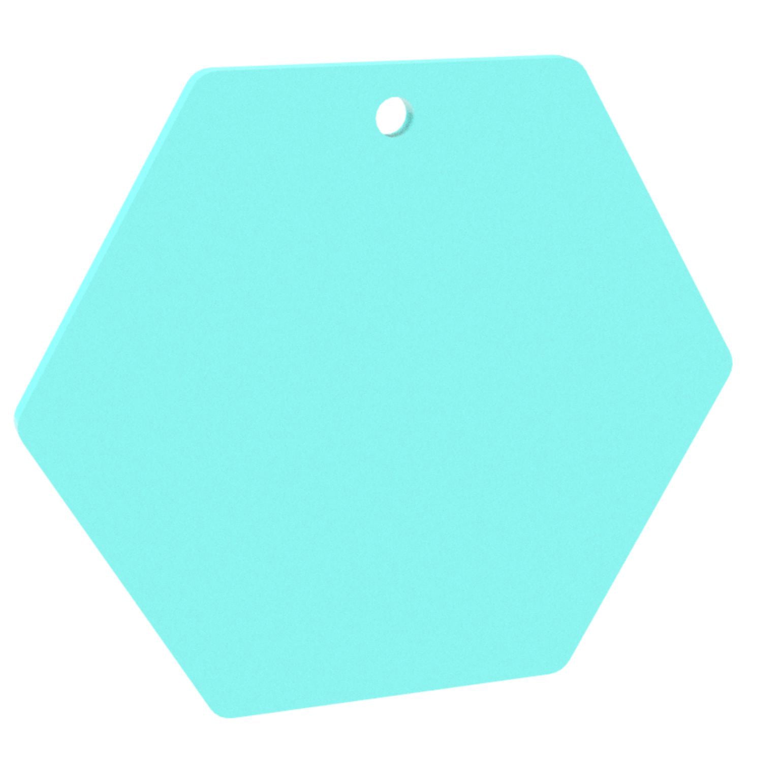 Blank Hexagon - 100mm