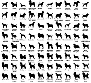 Dog Christmas Bauble 100mm - Long Haired Chihuahua