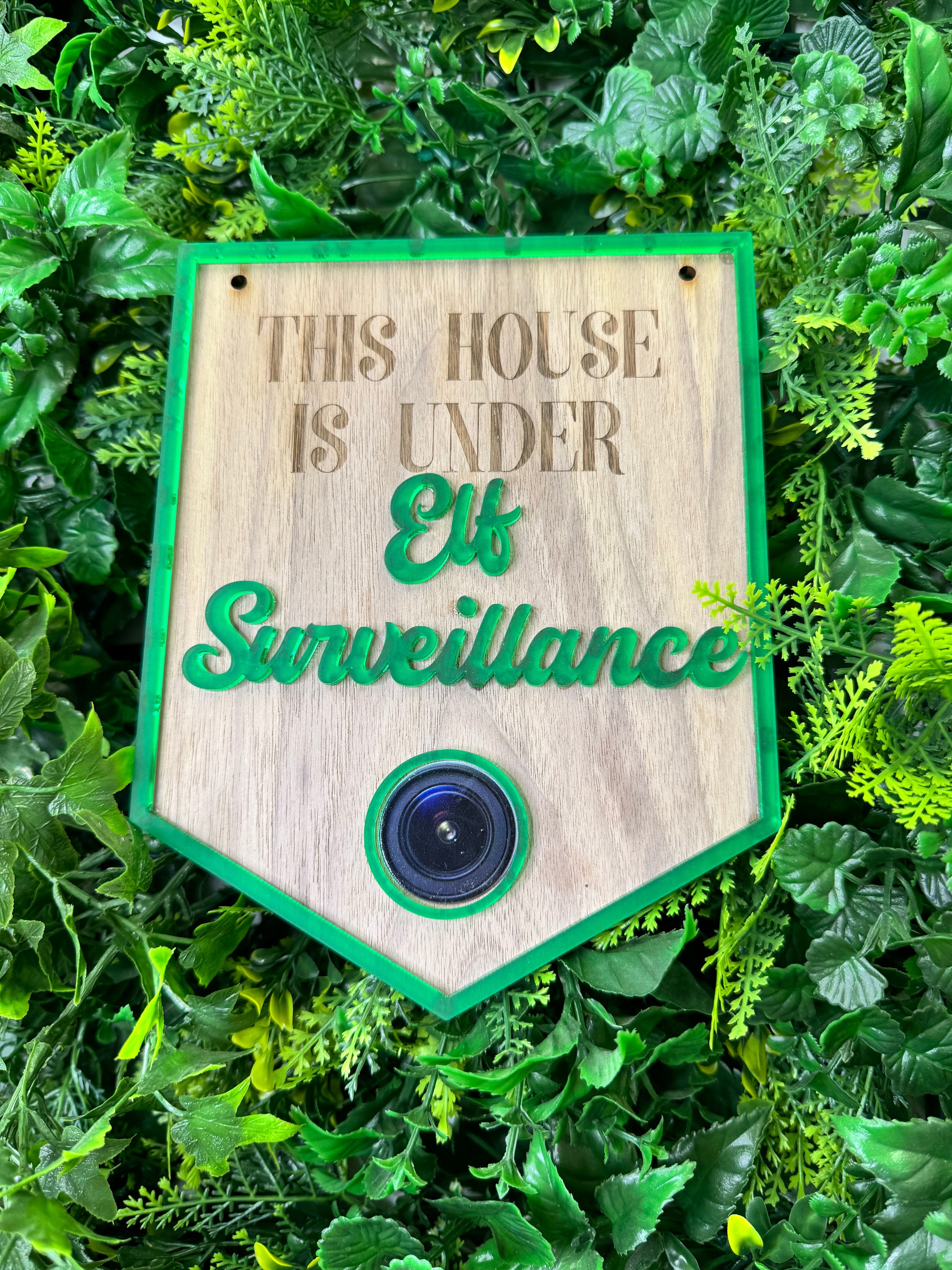 Elf Surveillance Camera Buntin