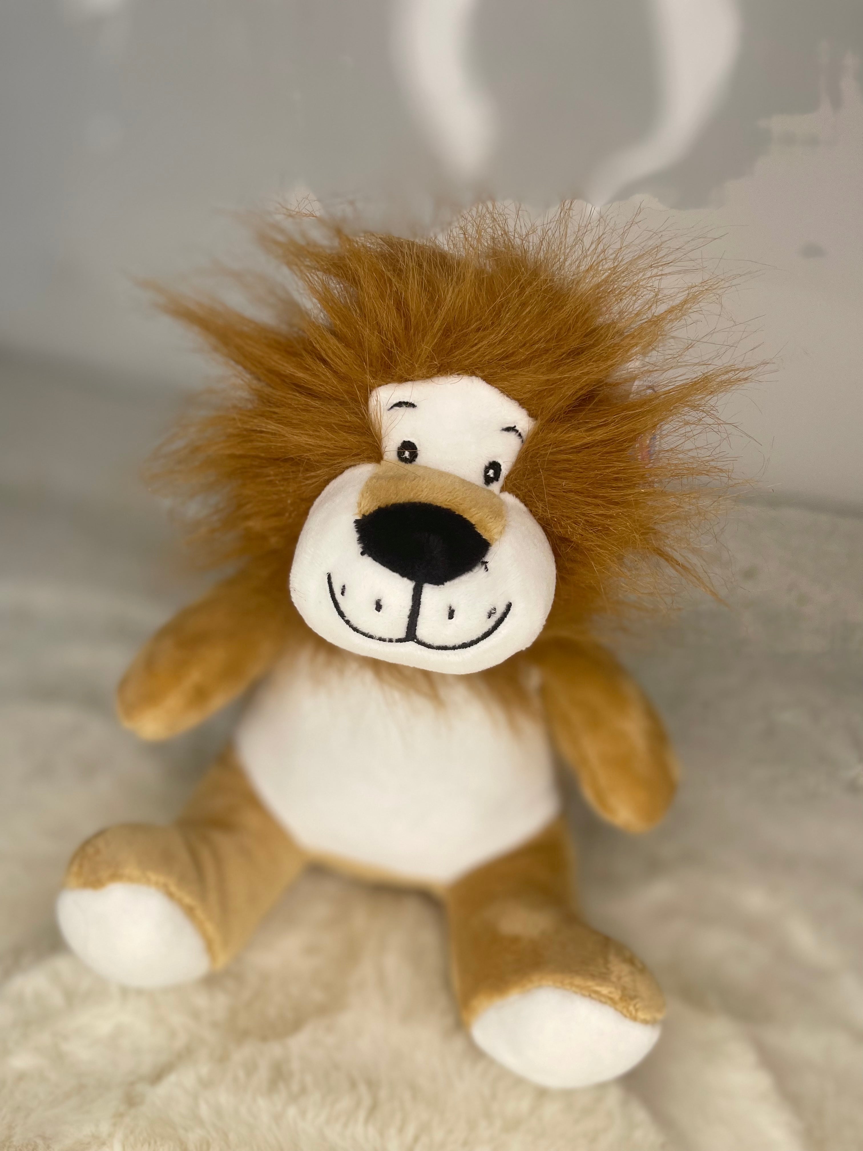 Mumbles Lion