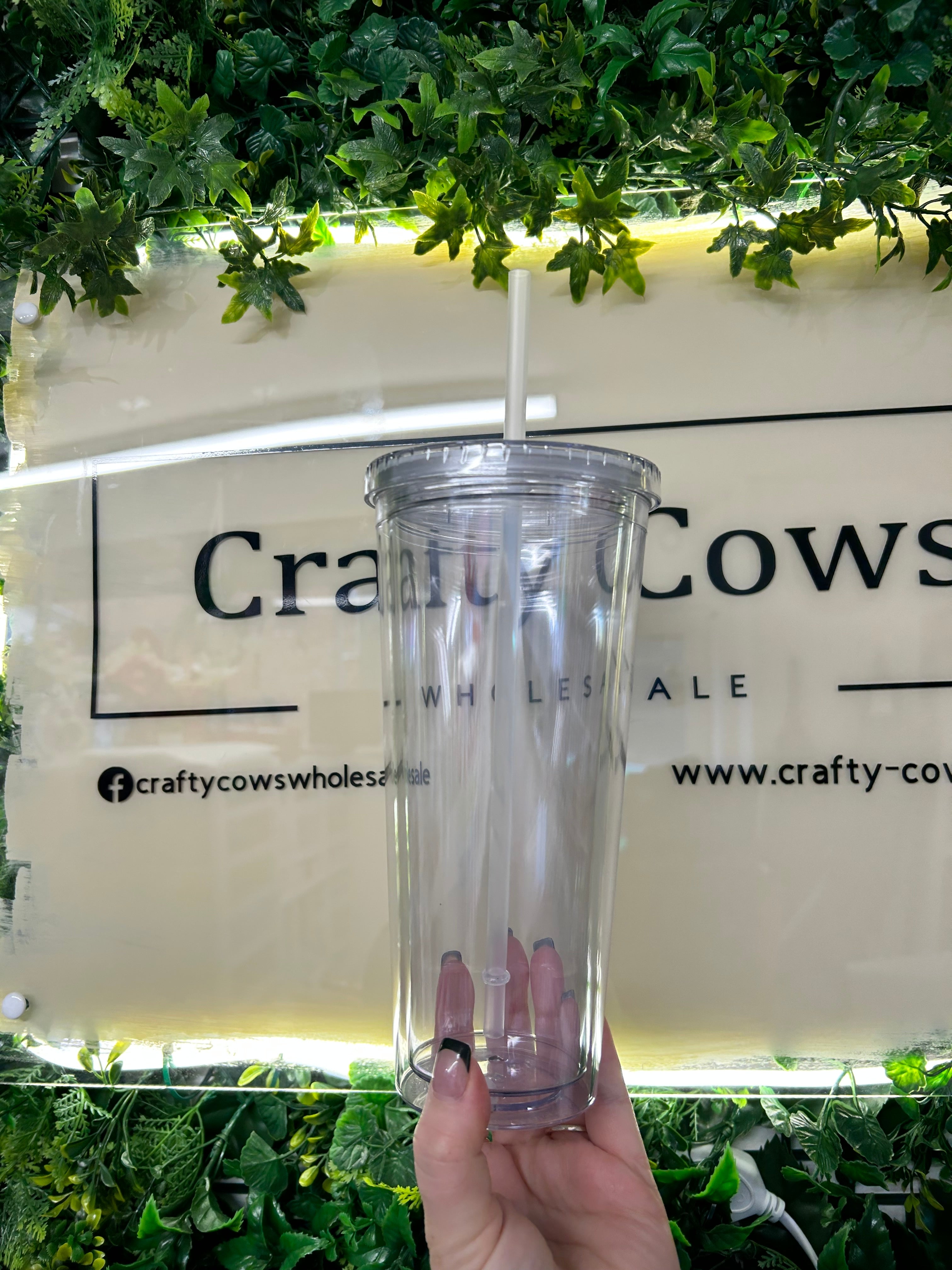 Snowglobe Tumblers