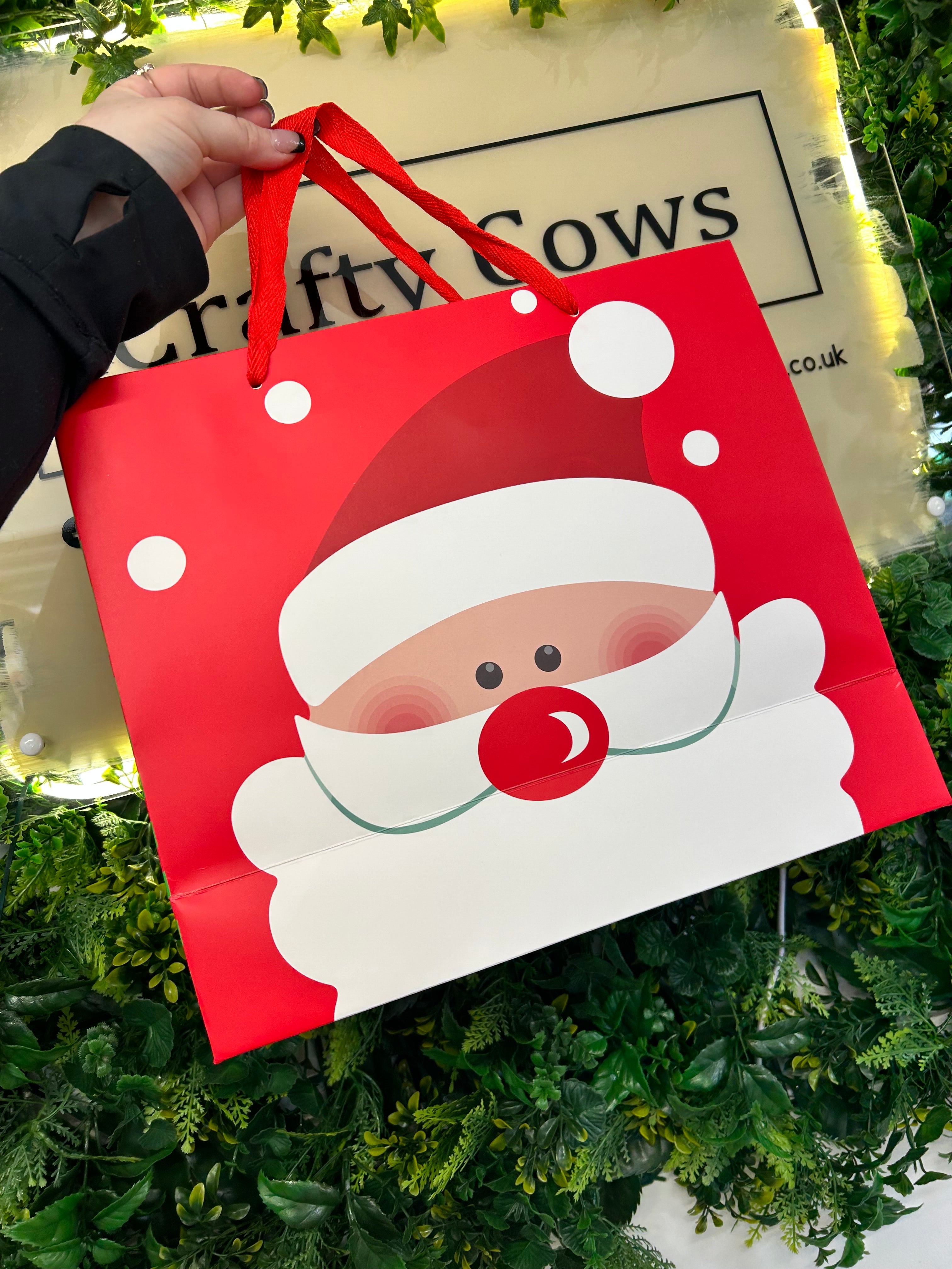 Santa Gift Bag