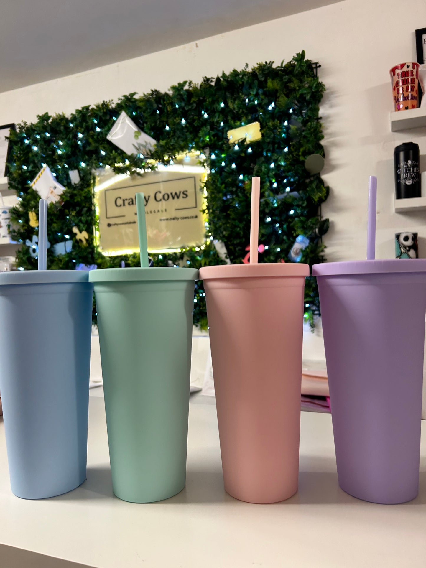 Pastel Double Walled Cold Cups