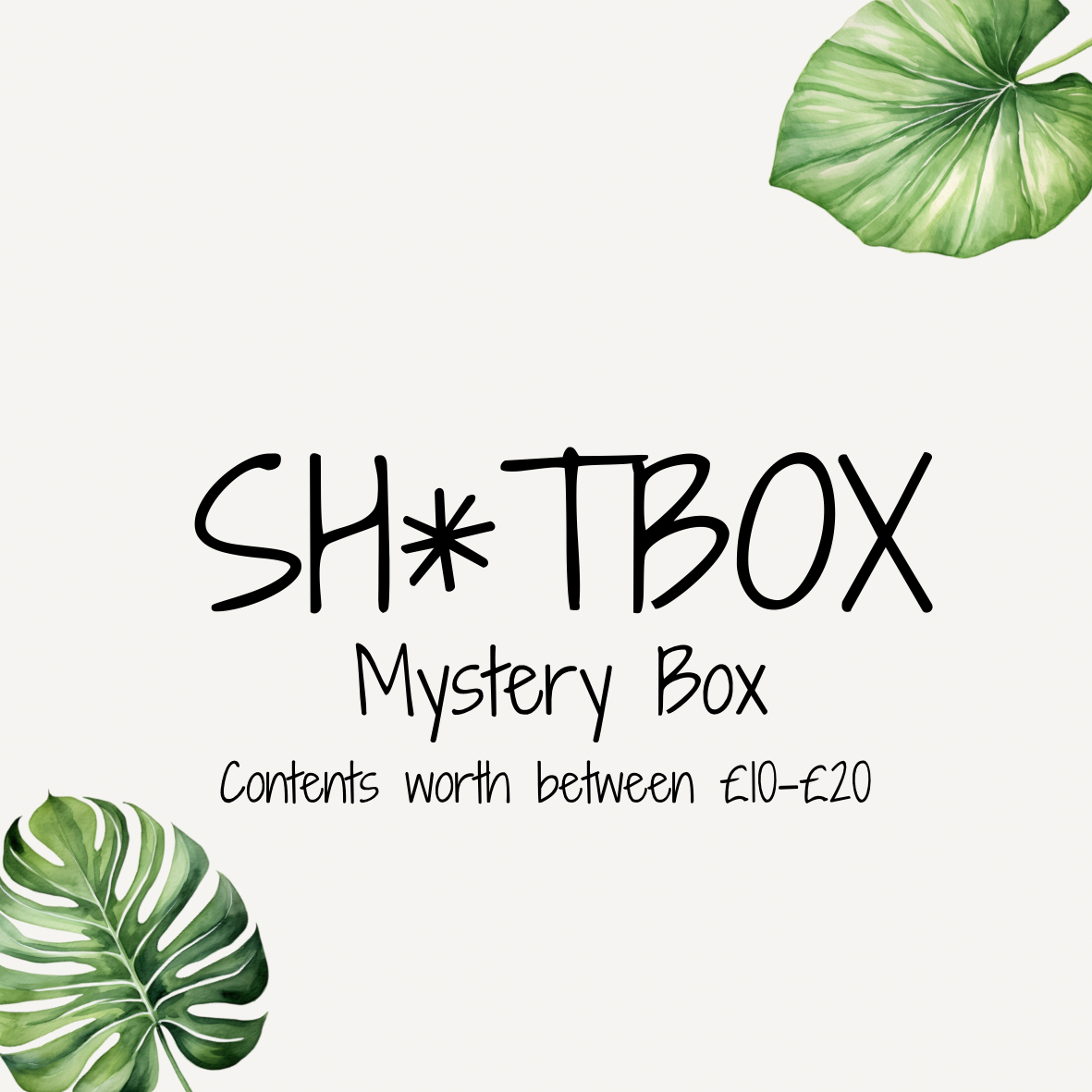 Sh*tbox (Mystery Acrylic Box) worth £20+