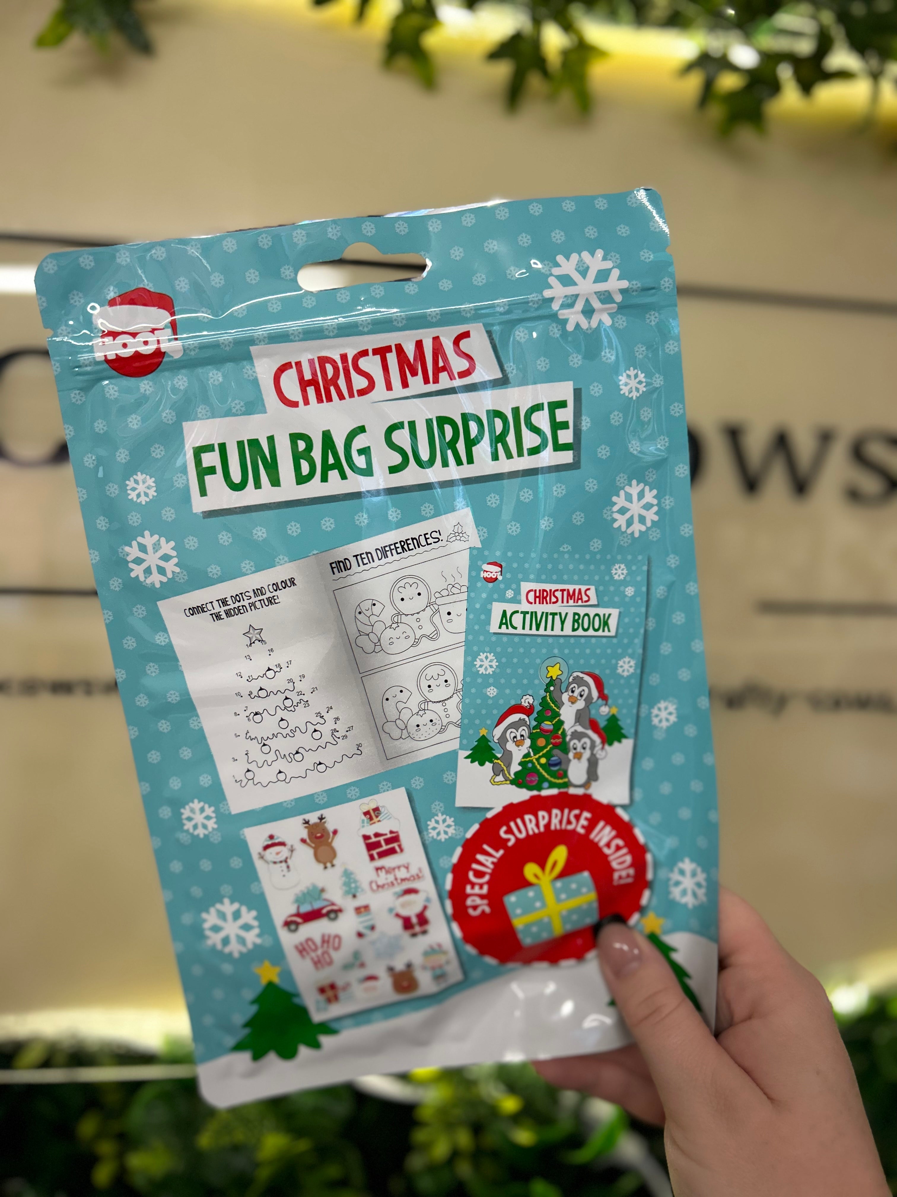 Fun Bag Surprise