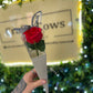 Boxed Single Rose