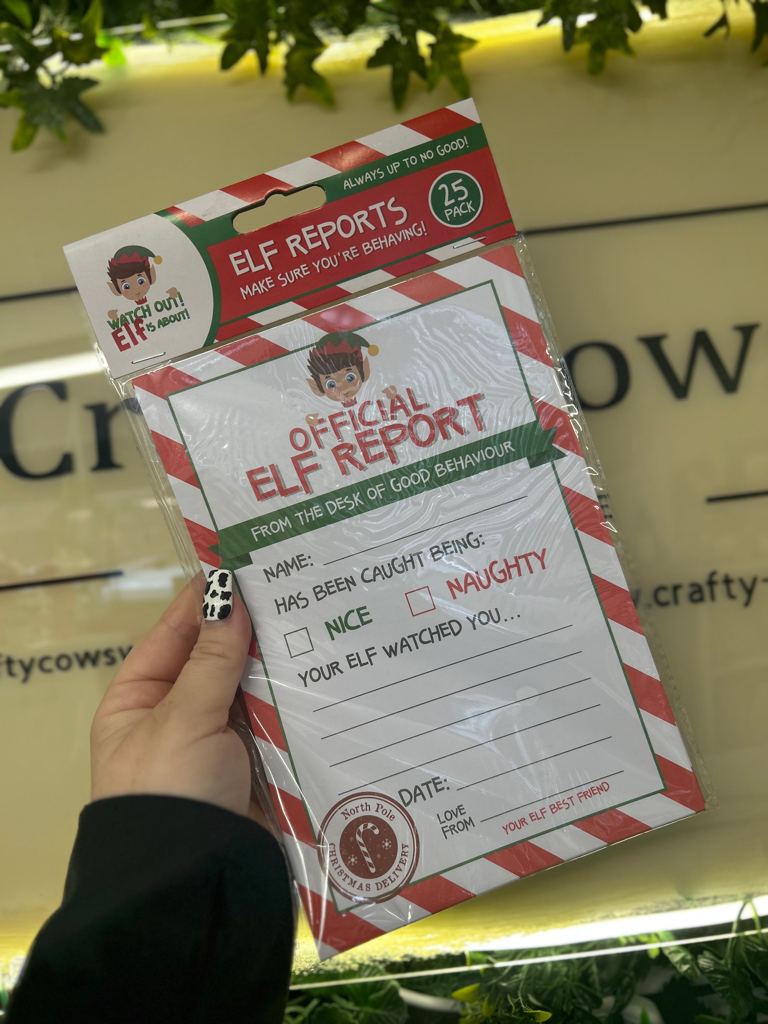 Elf Report Pack of 25