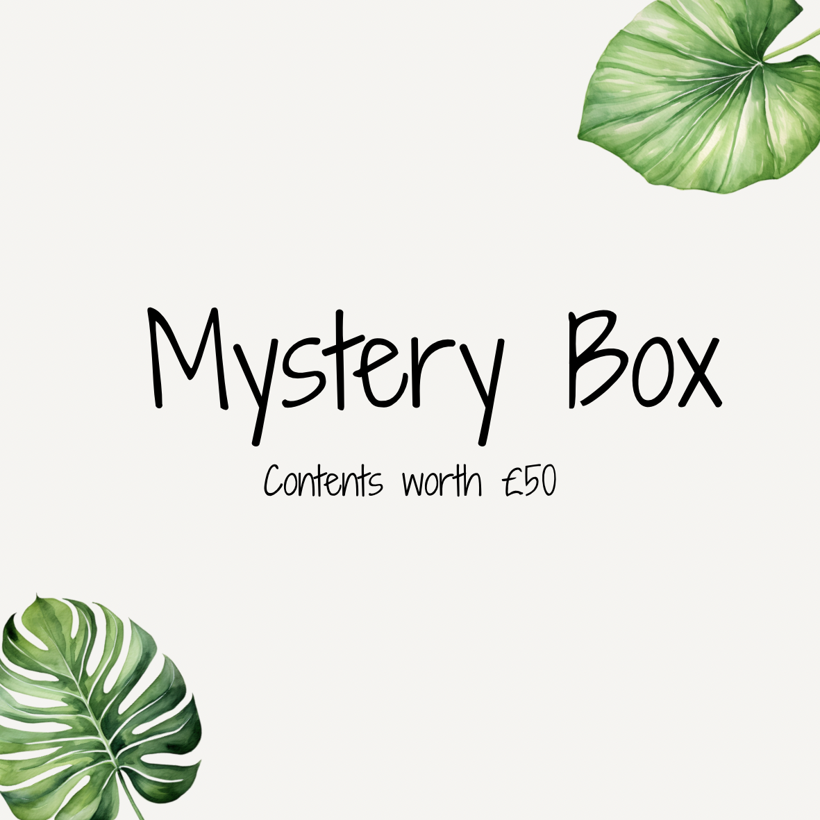 DTF MYSTERY BOX